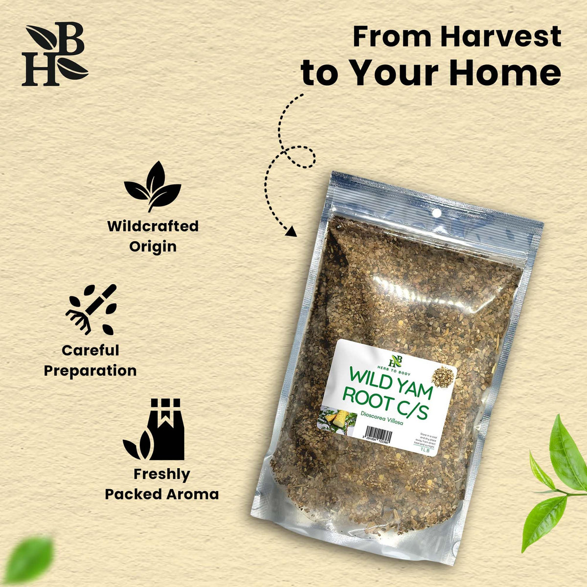Herb To Body Wild Yam Root Cut & Sifted – 4 oz, Wildcrafted Dioscorea Villosa for Herbal Tea, Relaxation Support, and