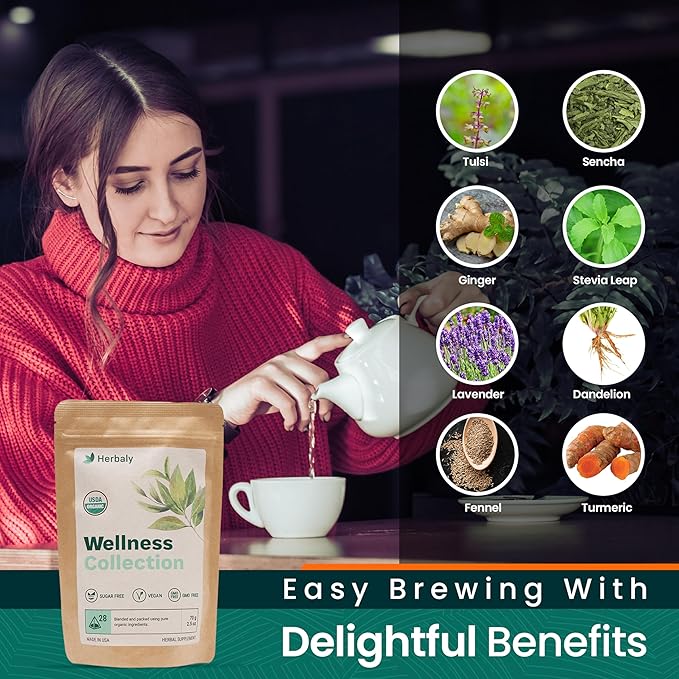Herbaly Wellness Collection Organic Herbal Ginger Tea, 70 g, 28 Count Bag