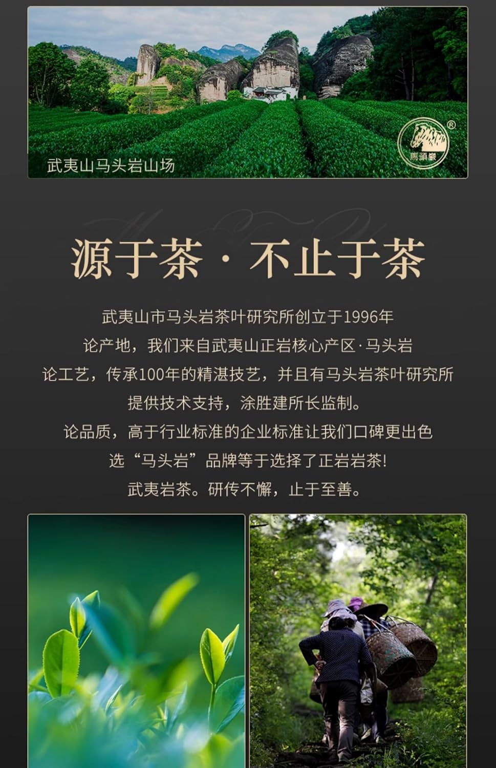 Wuyi Rock Tea Ye Lai Xiang – Premium High-Fragrance Oolong, 100g Loose Leaf Black Canister