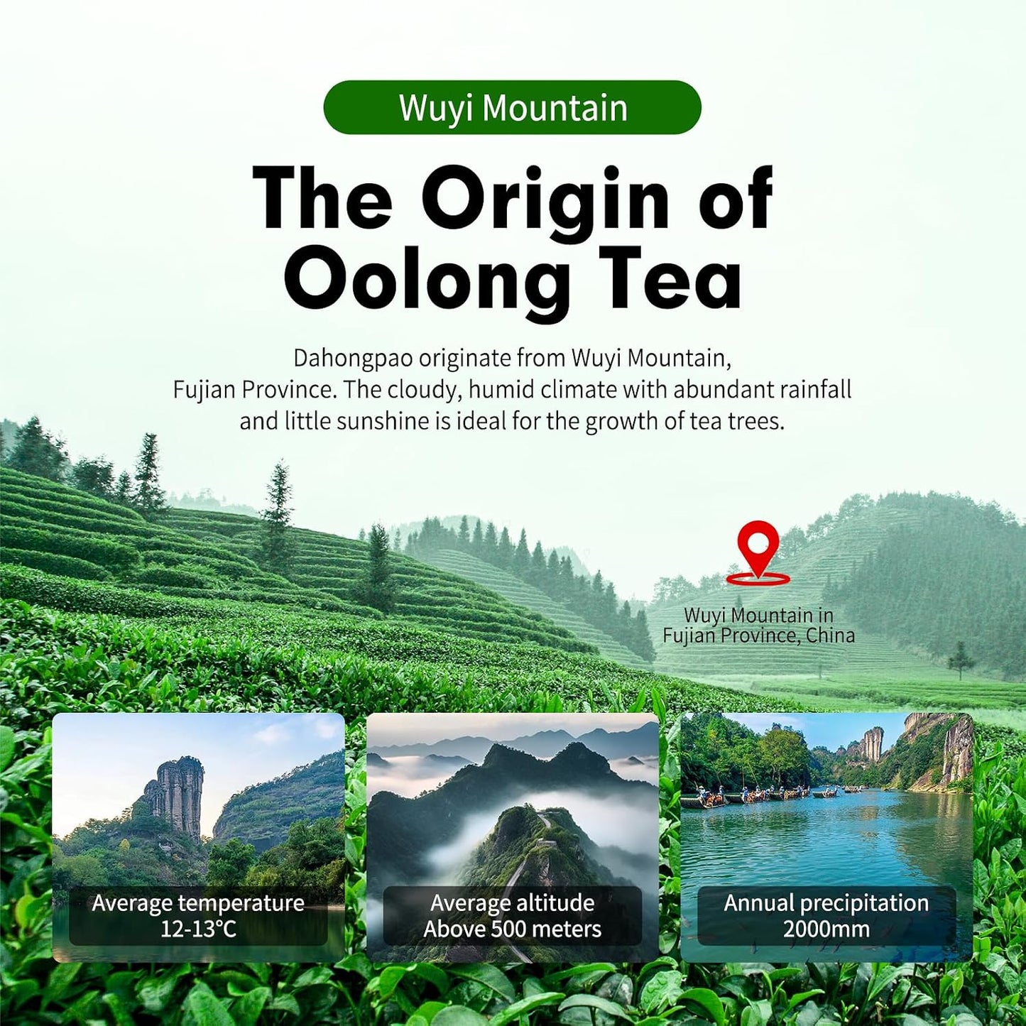 YUANSHENG Dahongpao Oolong Tea, Fujian Wuyi Rock Oolong Tea Loose Leaf with Nectar Aroma, Dark and Moist, Natural High Mountain Chinese Tea Dahongpao Big Red Robe 1.76Oz (50g) 特级大红袍 乌龙茶 中国功夫岩茶