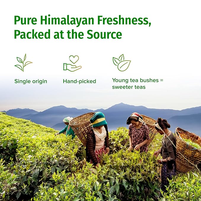 NEPAL TEA Organic Green Tea Loose Leaf - From a Family Farm in the Himalayas - Award-Winning Premium Green Tea Leaves Loose Leaf - 3.5oz /100g (Ganesha Green)