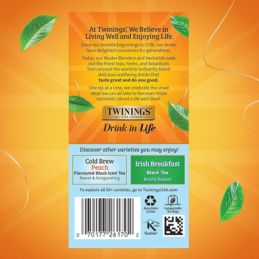 Twinings Mint Green Cold Brew Iced Tea Bags, 20 Count (Pack of 6), Unsweetened Flavoured Green Tea, Caffeinated, 120 Teabags