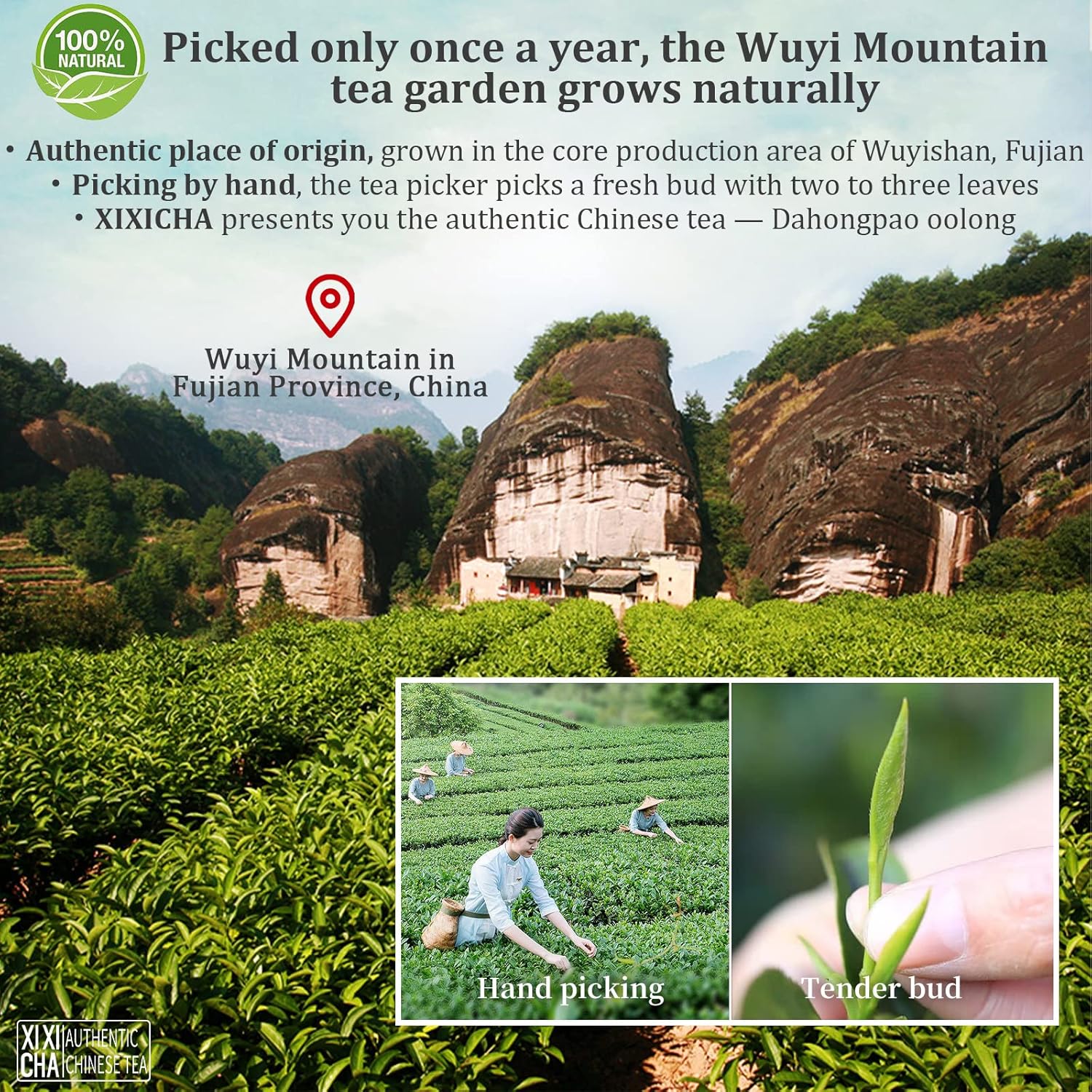 XIXICHA Dahongpao Oolong Tea 4.23oz (120g) China Wuyi Mountain Big Red Robe Oolong Tea Natural Loose Leaf Tea Strong fragrance Flower Fragrance Chinese Tea（96 cups） 特级大红袍 乌龙茶 中国功夫岩茶