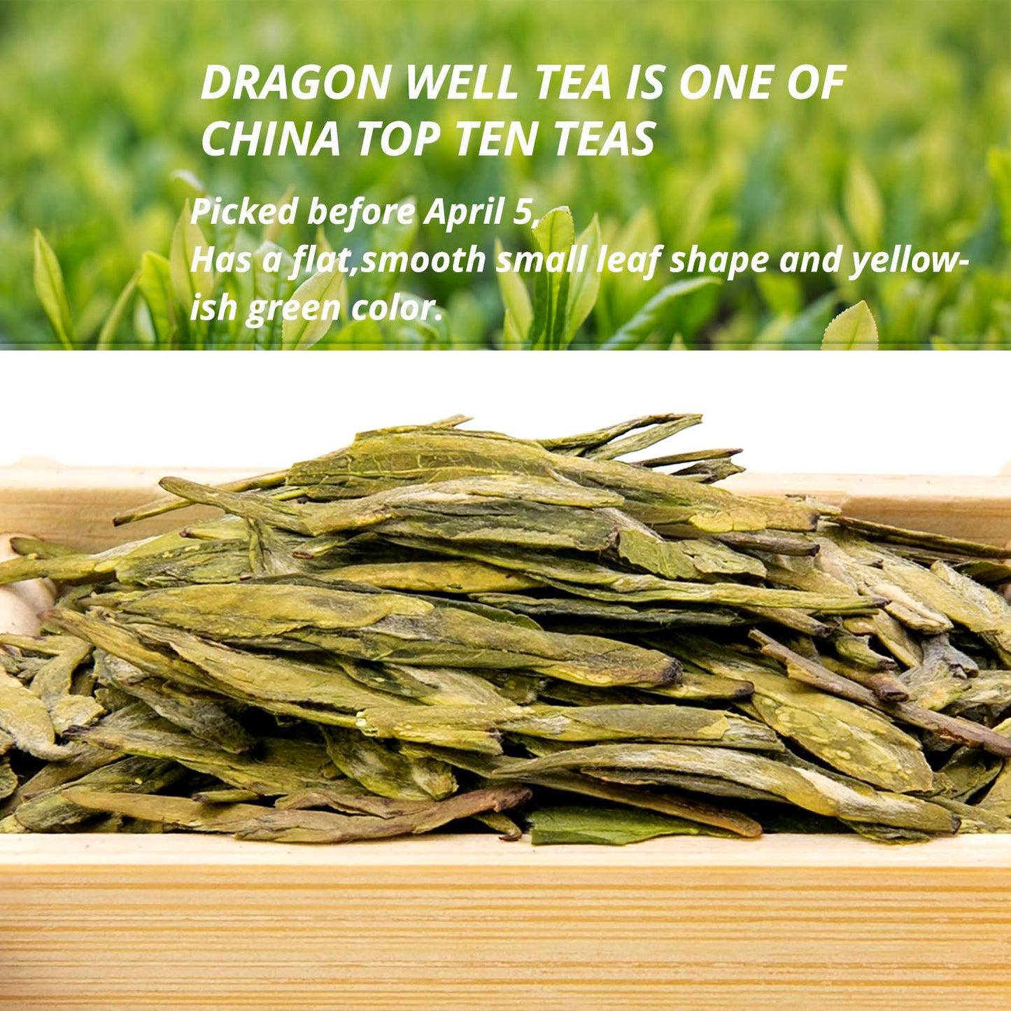 oriarmcha 2026 Mingqian Longjing Dragon Well Tea 2nd Grade - Dragonwell Long Jing Green Tea Loose Leaf - Ecologically Grown 250g Zip-lock Resealable Bag