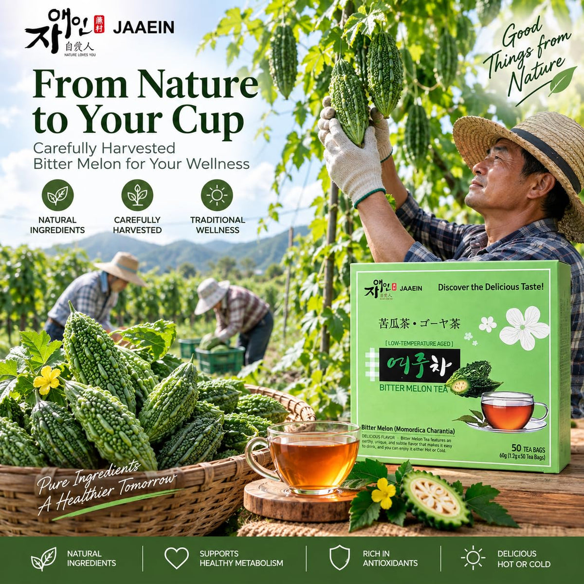 JaAeIn Bitter Melon Tea Natural Pure Korean Gohyah Fruit Tea Ampalaya Karela Leaves No Sugar, Caffeine Free, Gluten Free
