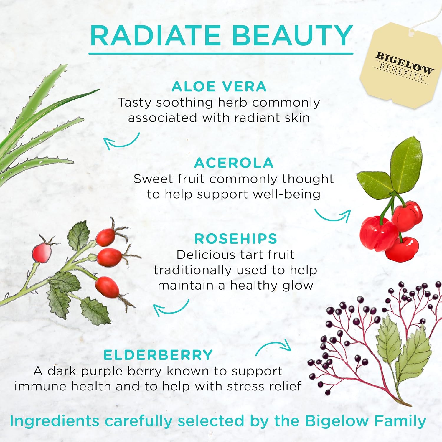 Bigelow Benefits Radiate Beauty Blueberry and Aloe Herbal Tea, Caffeine Free, 18 Count (Pack of 6), 108 Total Tea Bags