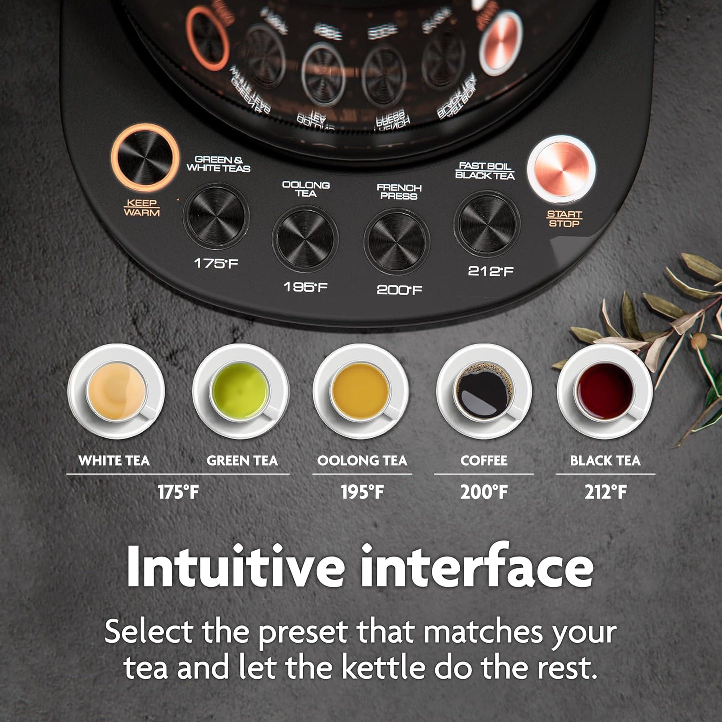 Viante Alba Electric Tea Kettle With Infuser, No Plastic, 1.5L, Black | Borosilicate glass &amp; 304 stainless steel construction. 4 temp presets, keep-warm, cordless, auto shut-off