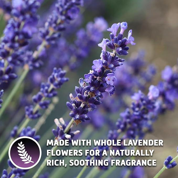 Sou Zen Earl Grey Lavender Loose Leaf Tea Blend 4oz (113g) | Ceylon Black Tea, Bergamot Oil, Lavender Flowers | Raw and Naturally Organic Ingredients | Energizing and Refreshing With No Additives