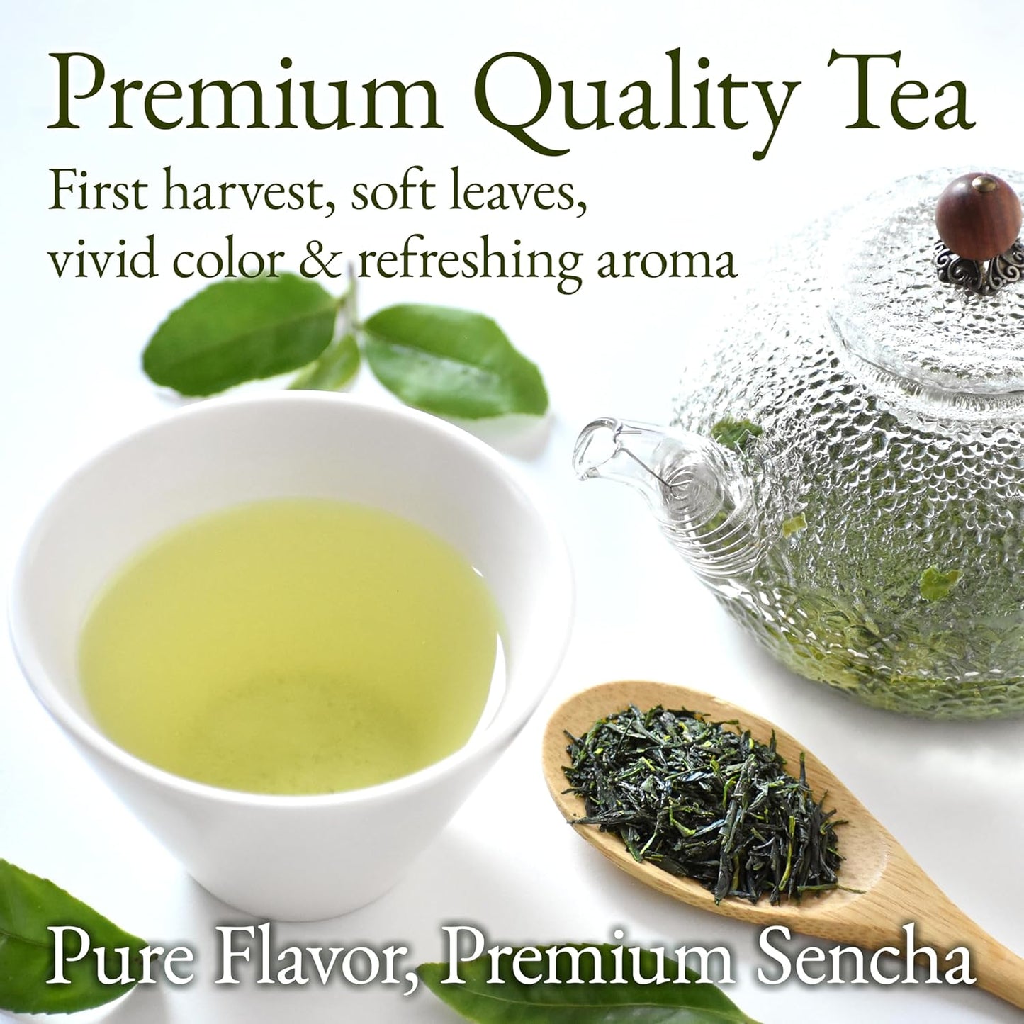 YAMASAN KYOTO UJI Japanese Sencha Green Tea, 100% First-Harvest Loose Leaf, Bright Color, Refreshing Aroma, Well-Balanced and Clean Taste, Unsweetened, Made in Japan, 80g(2.8oz)