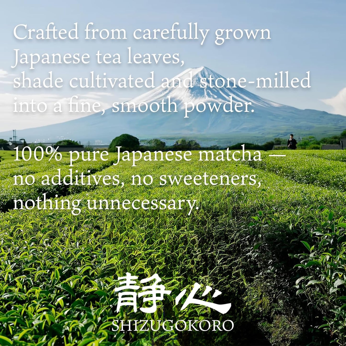 SHIZUGOKORO Authentic Japanese Ceremonial Grade Matcha Green Tea Powder – Uji Kyoto Japan – Made in Japan – 30g (1.06oz)