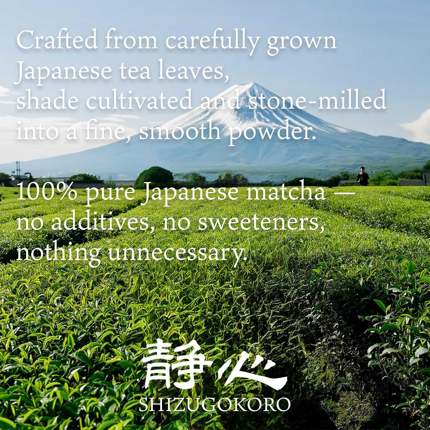 SHIZUGOKORO Authentic Japanese Ceremonial Grade Matcha Green Tea Powder – Uji Kyoto Japan – Made in Japan – 30g (1.06oz)
