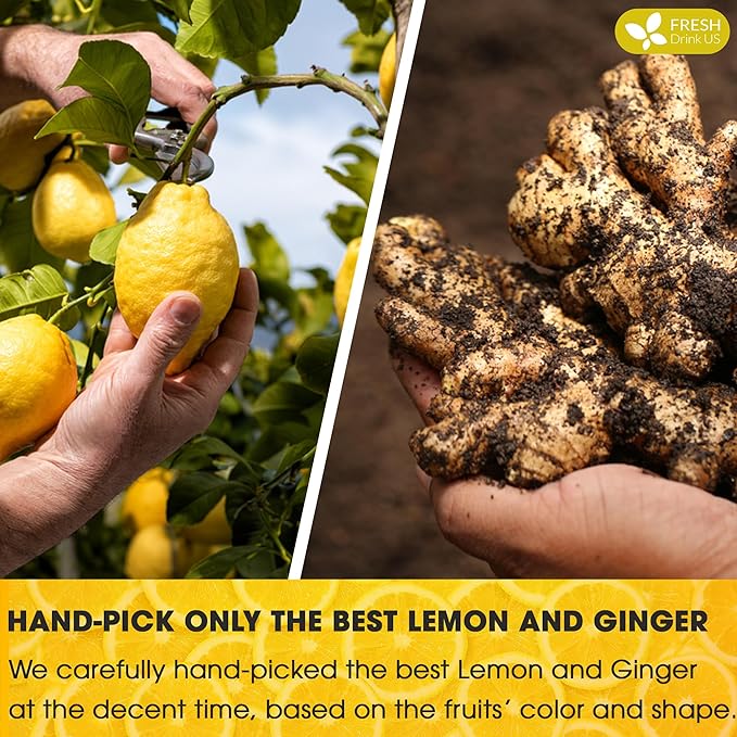 FreshDrinkUS, Premium 150 Lemon Ginger Tea Bags, 100% Natural Ingredients, Hand-made Blend of Lemon and Ginger, Eco-conscious Tea Bags. No Sugar, No Caffeine, Vegan.