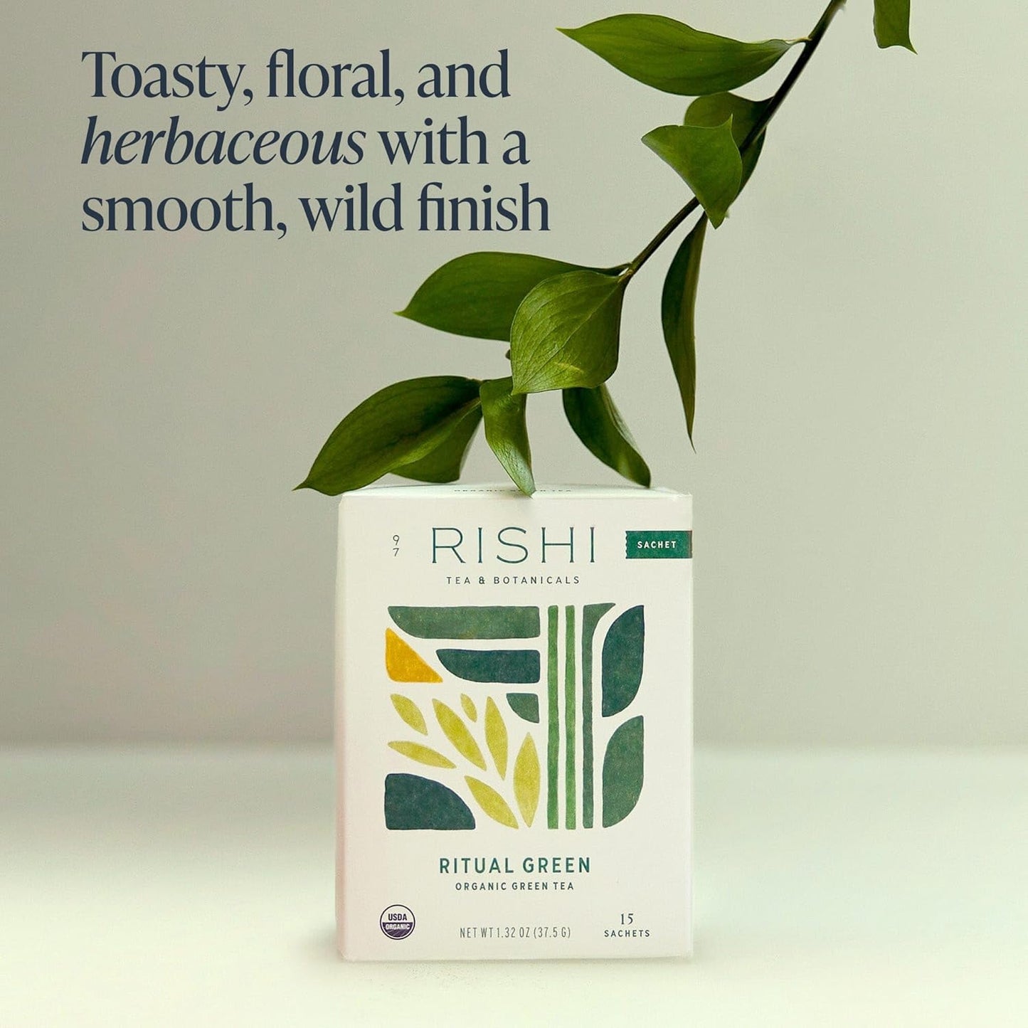Rishi Tea Ritual Green Tea - Organic Sachet Bags, Pure Green Tea, Energizing & Caffeinated - 15 Count (Pack of 1)
