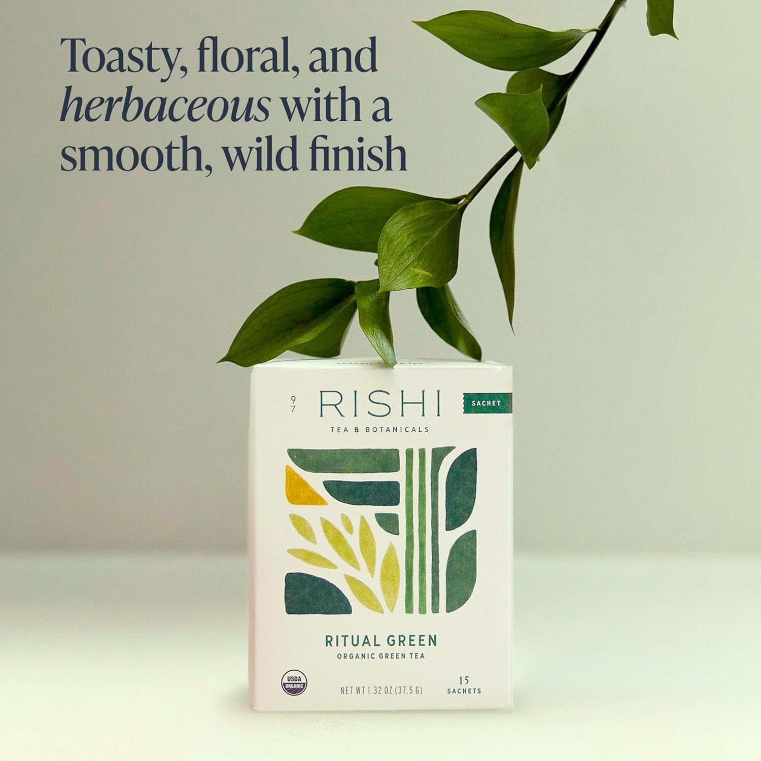 Rishi Tea Ritual Green Tea - Organic Sachet Bags, Pure Green Tea, Energizing & Caffeinated - 15 Count (Pack of 1)