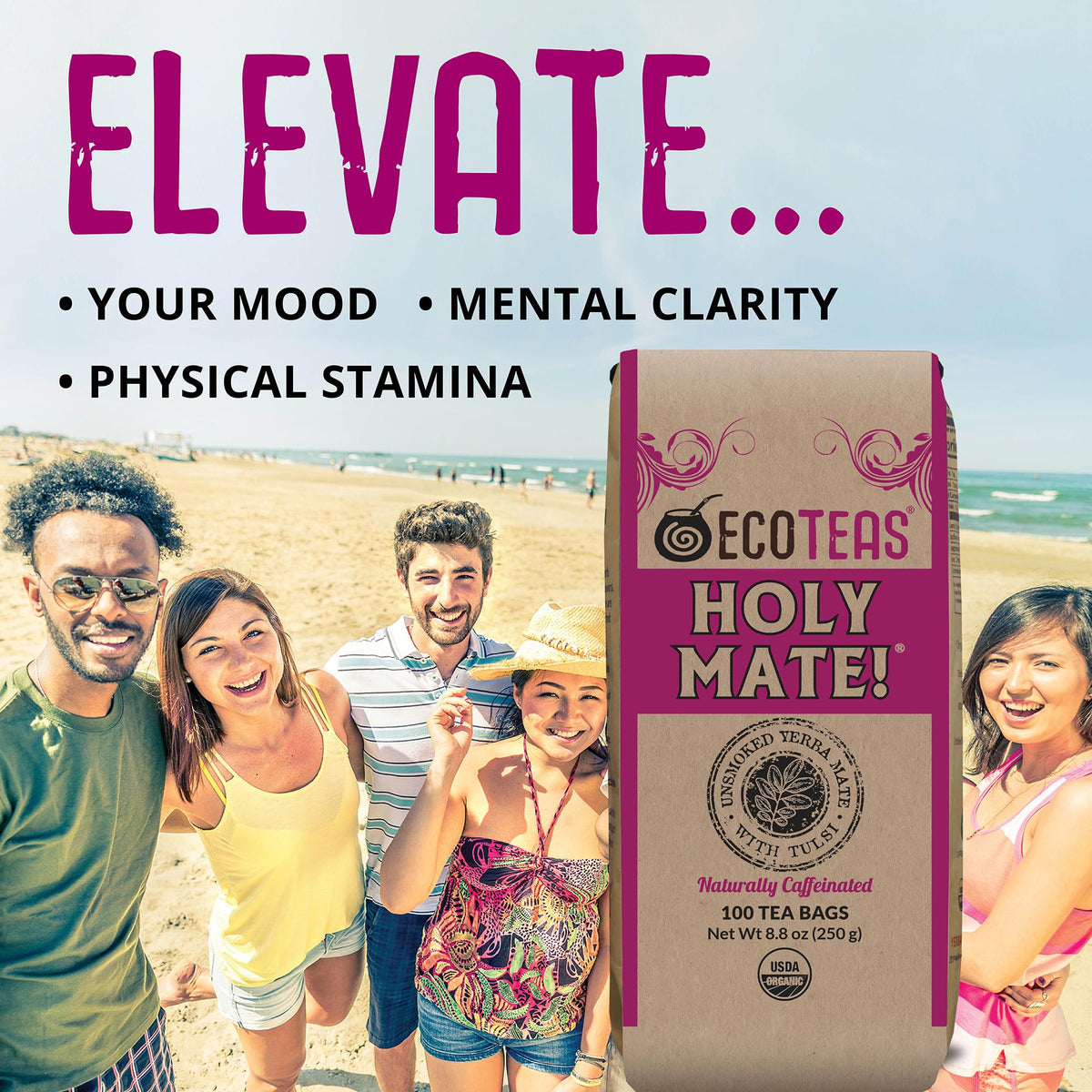 ECOTEAS Holy Mate! Organic Yerba Mate Tea Bags with Tulsi & Mint 100 Count