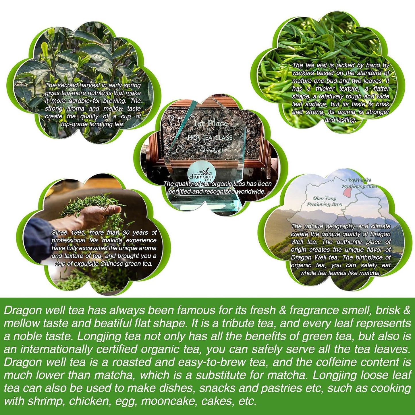 EFOOFAN Organic Dragonwell Green Tea, Loose Leaf, 2nd Harvest, 100g Tin | USDA organic. Yu Qian: full-bodied, toasty &amp; grassy. Hand-crafted, pan-fired. Re-steep 2-3x. Spent leaves edible. Premium tea