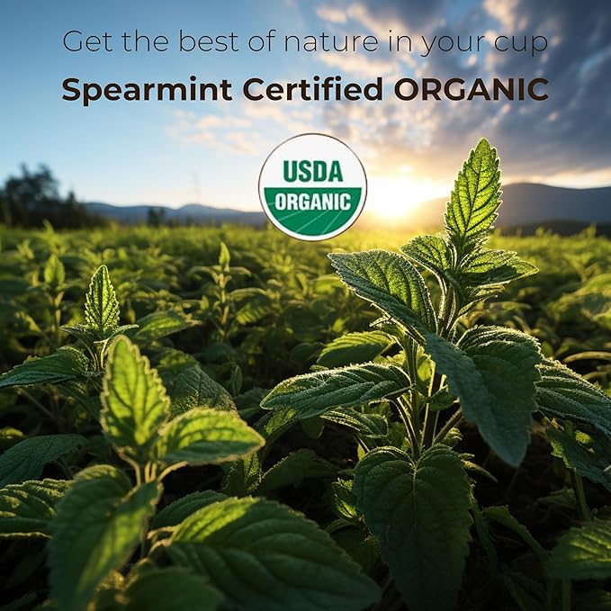 The French Touch Spearmint Tea Organic, 1.5g x 30 Pyramid Bags, 100% Certified USDA Organic, Plant based tea bags, Select Premium Tea (Spearmint)