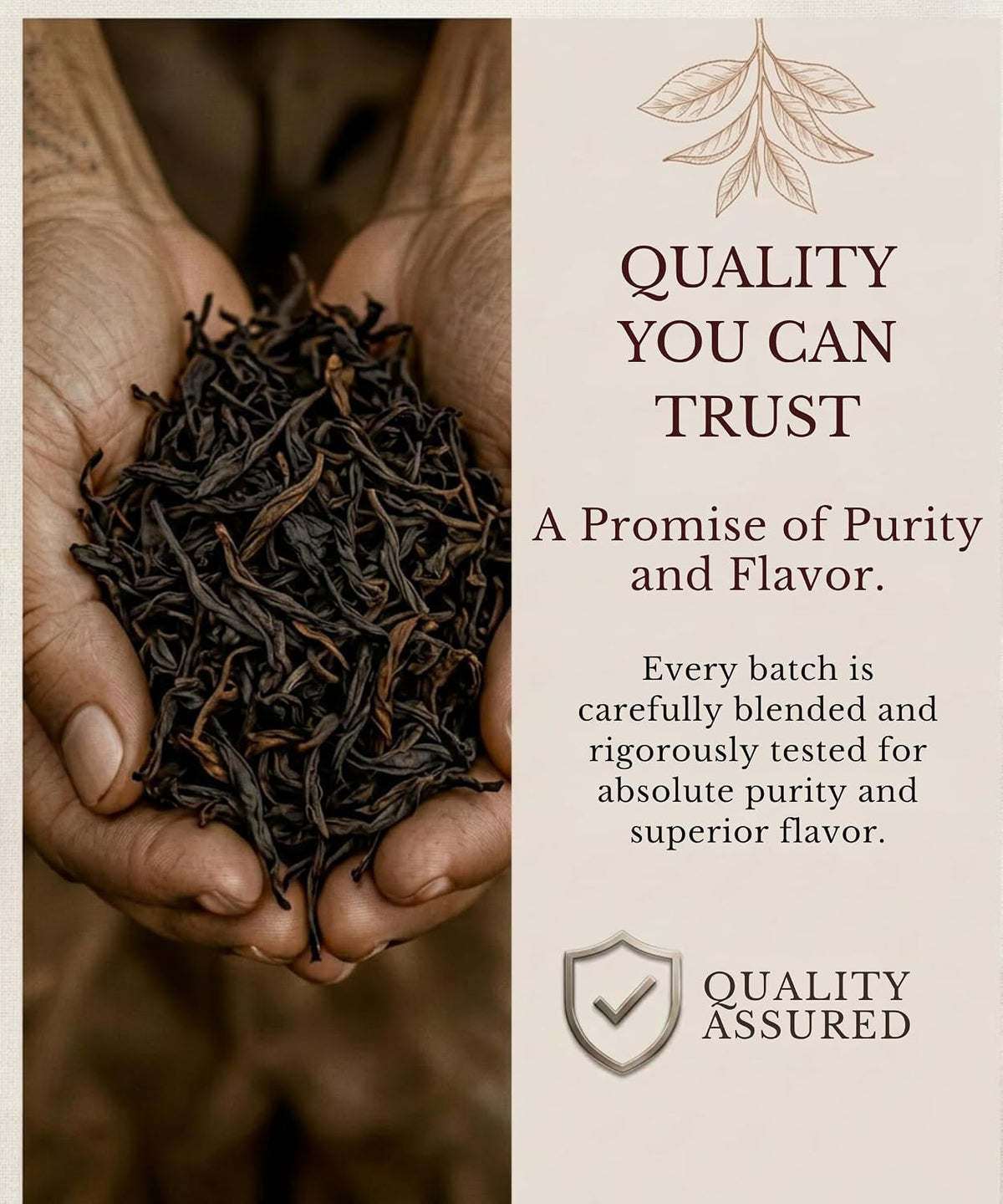 EZR Leaf English Breakfast Premium Whole Leaf Ceylon Black Tea, 20 counts 2.1 Once, Rich Flavor &amp; Bold Aroma Blend, A Morning Ritual in Every Cup