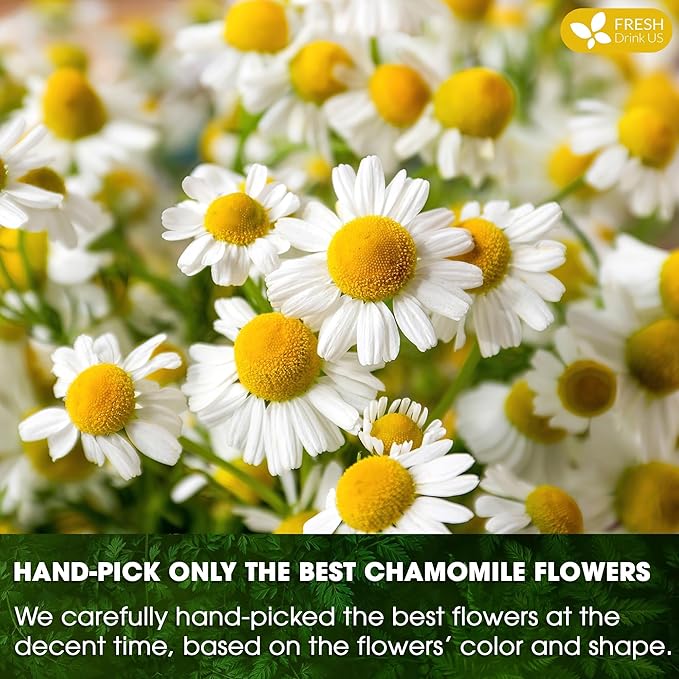FRESHDRINKUS, Premium 135 Chamomile Tea Bags, 100% Natural and Pure Chamomile Flowers, Eco-conscious Tea Bags. Herbal Tea. No Sugar, No Caffeine, No Gluten, Vegan.