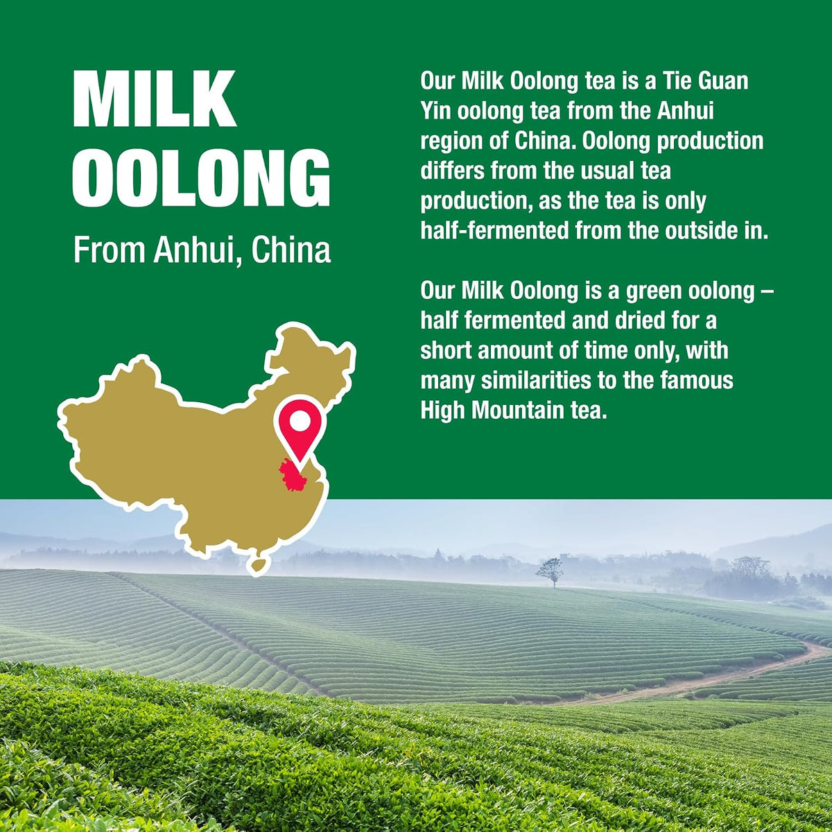 Milk Oolong Loose Leaf Tea, Single Origin China Oolong Blend, 50 Cups, 4oz