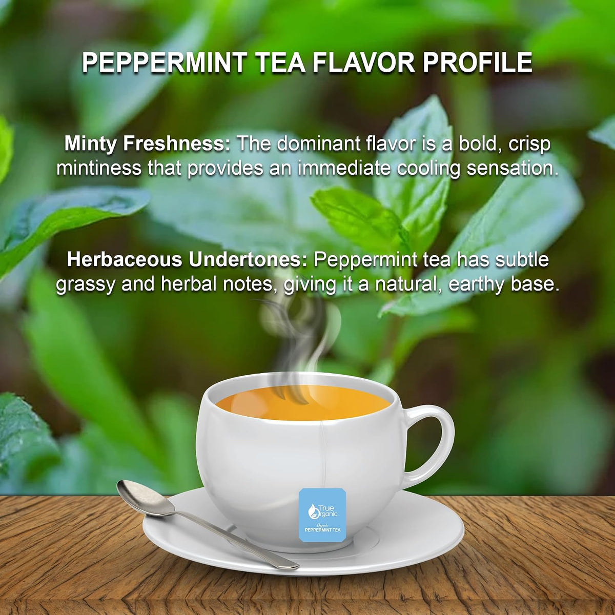 True Organic Premium Peppermint Tea |100 Count Tea Bags | USDA Organic &amp; Kosher Certified |100 Envelop Organic Peppermint Tea Bags for Your Home &amp; Cafe.
