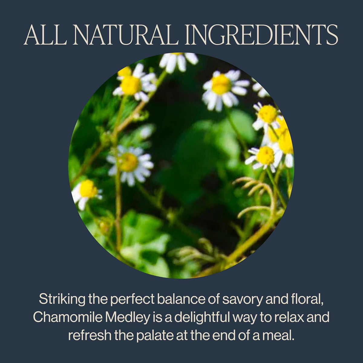 Rishi Tea Chamomile Medley Organic Loose Leaf Tea