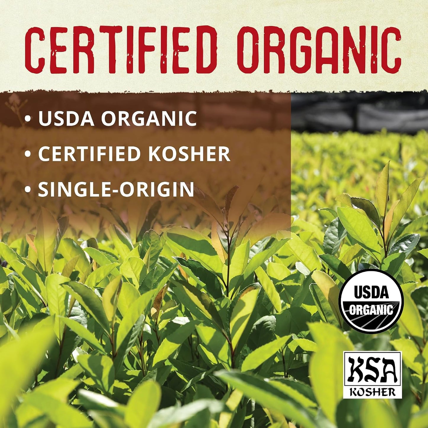 ECOTEAS Organic Yerba Mate Loose Tea Traditional Cut 5 lb Bulk Value Bag | 5 lb bulk traditional cut with stems and powder, USDA organic kosher non-GMO, brews in French press gourd or bombilla