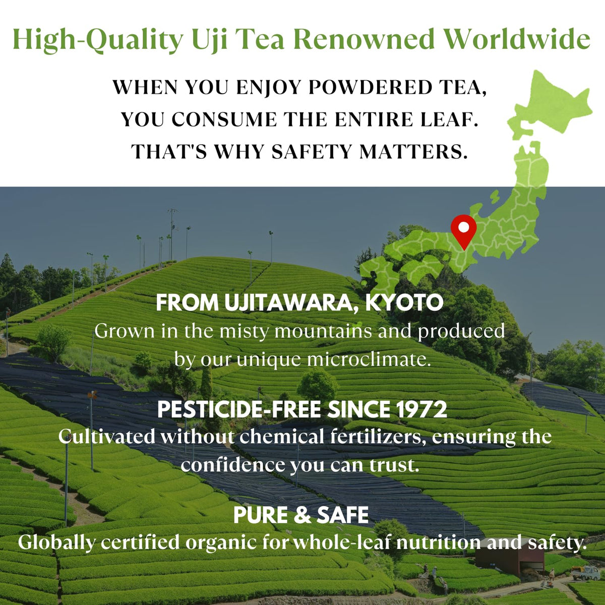 Nagomi Matcha Organic Superior Ceremonial Grade Matcha Green Tea Powder - 100% Authentic Japanese First Harvest from Uji, Kyoto (30g / 1.06oz)