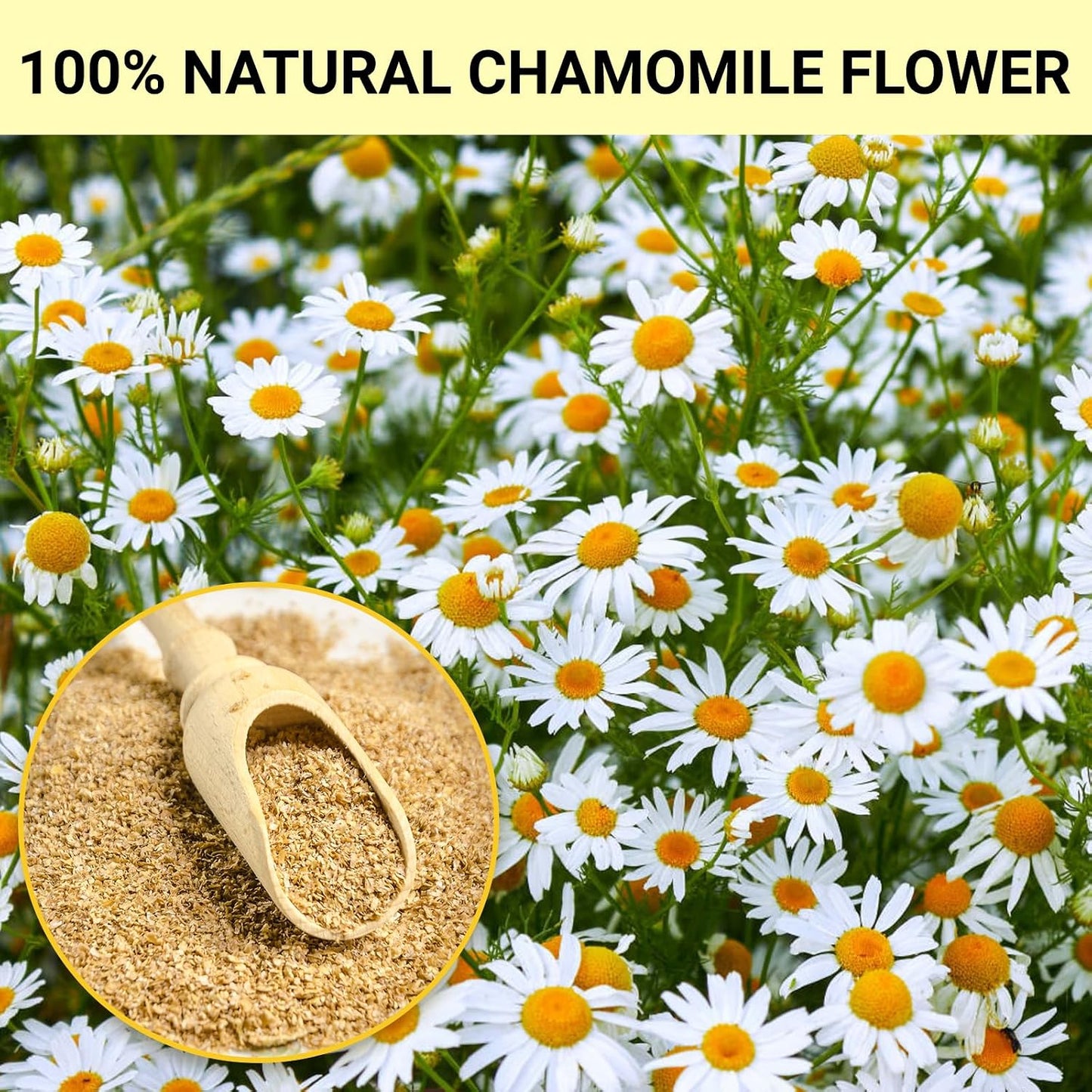 Chamomile Tea Bags, Chamomile Flower Herbal Tea, 50 Teabags, Calming, Supports Healthy Digestion, Caffeine-Free, Sugar-Free,(1 Pack/50 Bags)