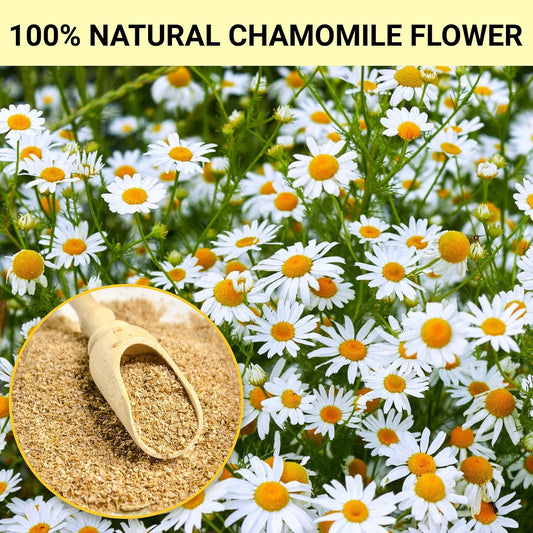 Chamomile Tea Bags, Chamomile Flower Herbal Tea, 50 Teabags, Calming, Supports Healthy Digestion, Caffeine-Free, Sugar-Free,(1 Pack/50 Bags)