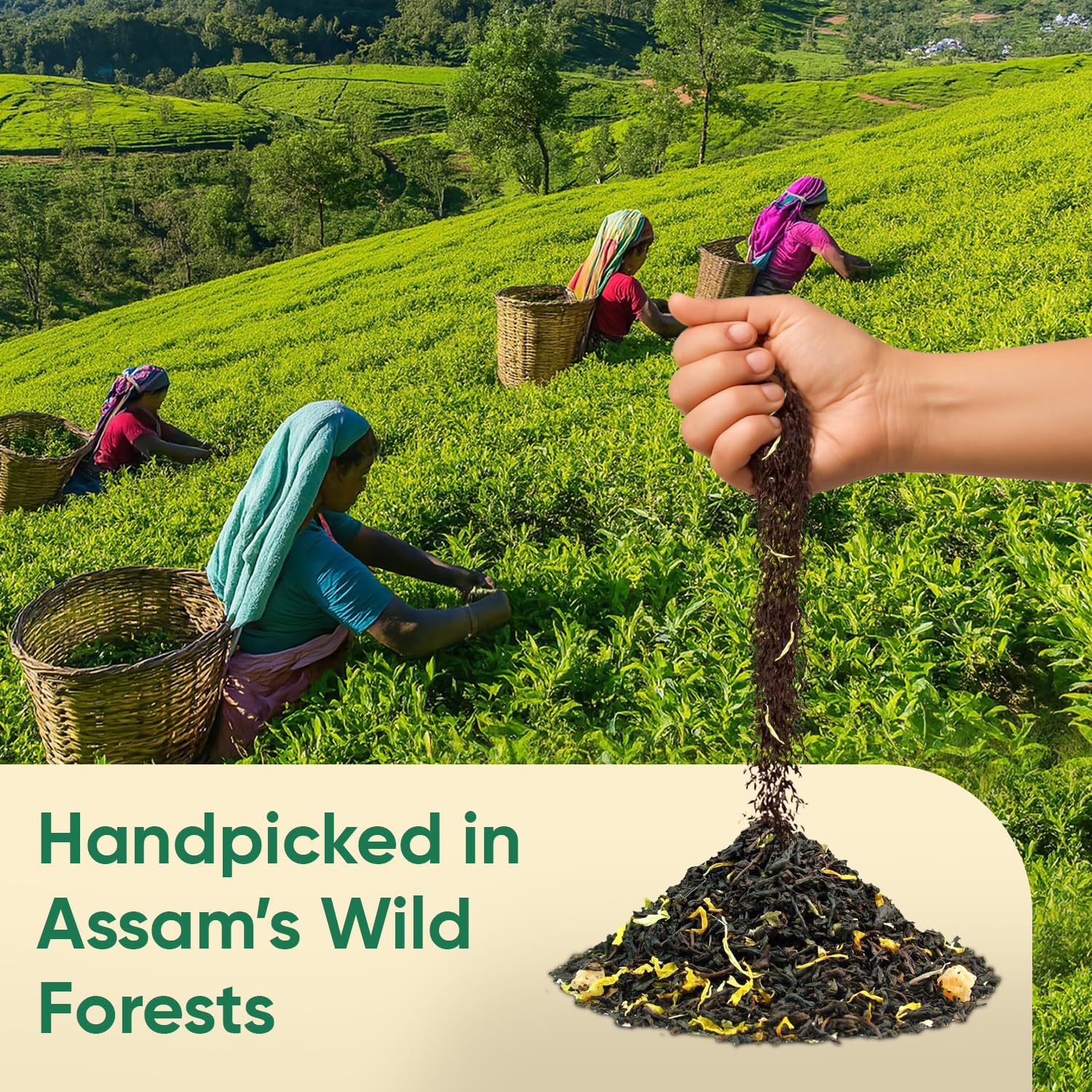 Danodia Foods Organic PEACH ORTHODOX ASSAM BLACK TEA (3.5oz/100g) 50+ servings | WILD FOREST Assam Tea Loose Leaf | Aromatic Peach Flavor | Non GMO Hand-Picked & Home Made