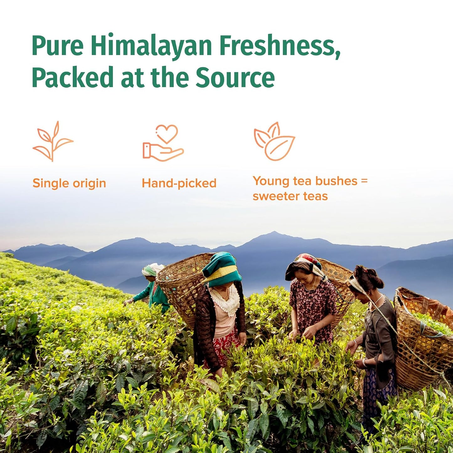 NEPAL TEA Organic Chai Tea Loose Leaf - Certified Organic Black Tea with Ginger, Cinnamon &amp; Cardamom - Single Origin from a Family Farm in the Himalayas (Nepali Breakfast) - 3.5 Oz (100g)