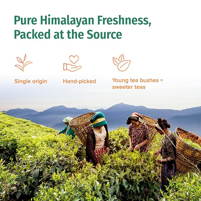 NEPAL TEA Organic Chai Tea Bags from the Himalayas, Chai Spice Blend - 50 Pyramid Tea Bags, Single Origin Chai Spice Tea from a Family Farm - Black Tea Bags, Loose Leaf Tea Inside (Nepali Breakfast)