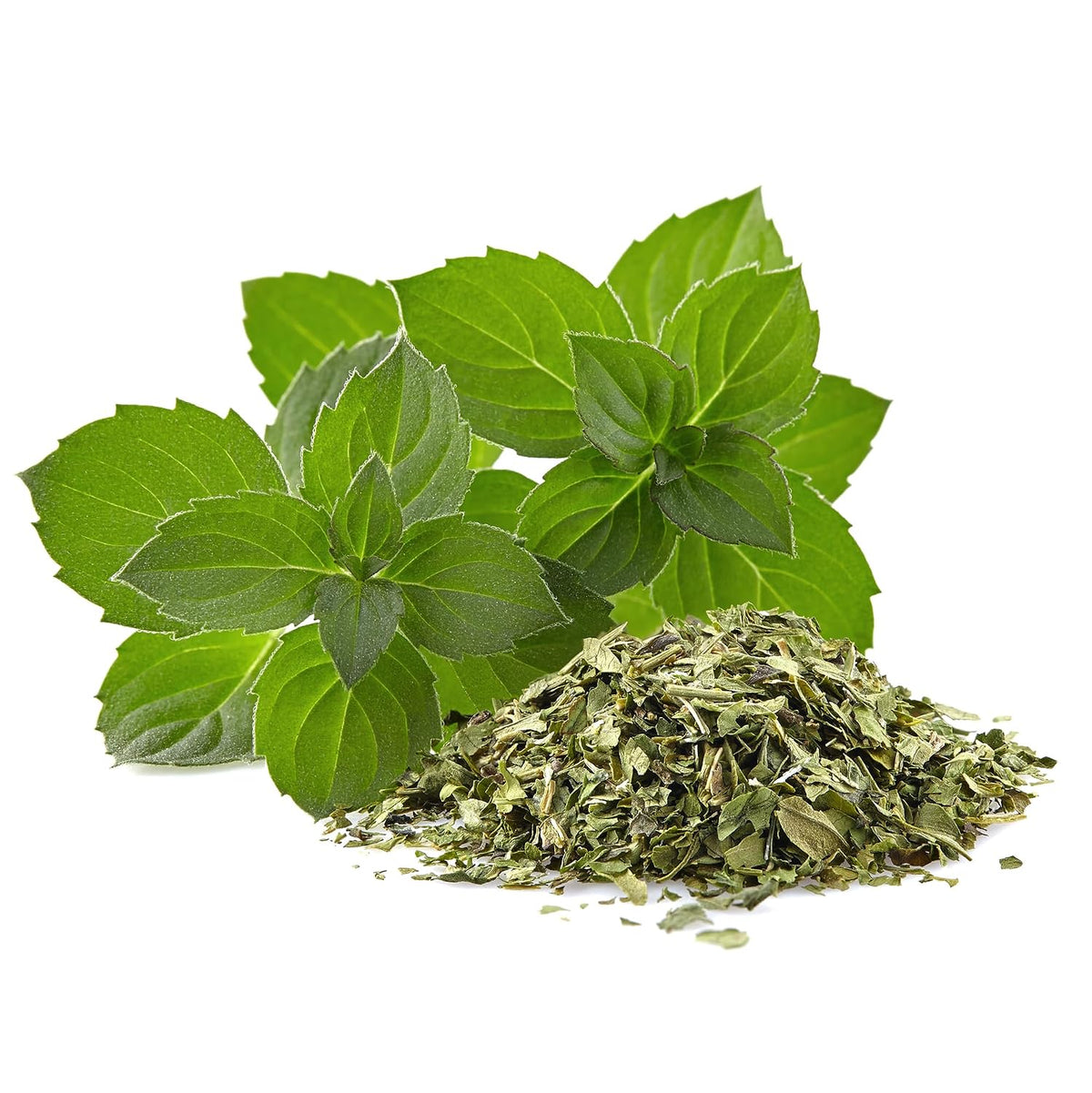 Jovvily Peppermint Leaf