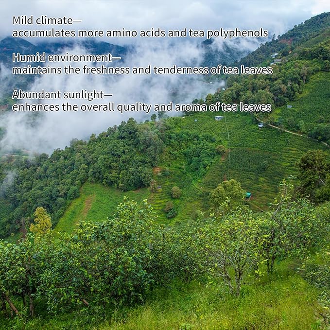 Yuexi Ripe Puerh Tea Brick Premium Pu-erh Tea Aged 10 Years Fermented Pu Erh Tea Cake Yunnan Puer Black Tea 500g 普洱茶 中国茶 云南普洱茶