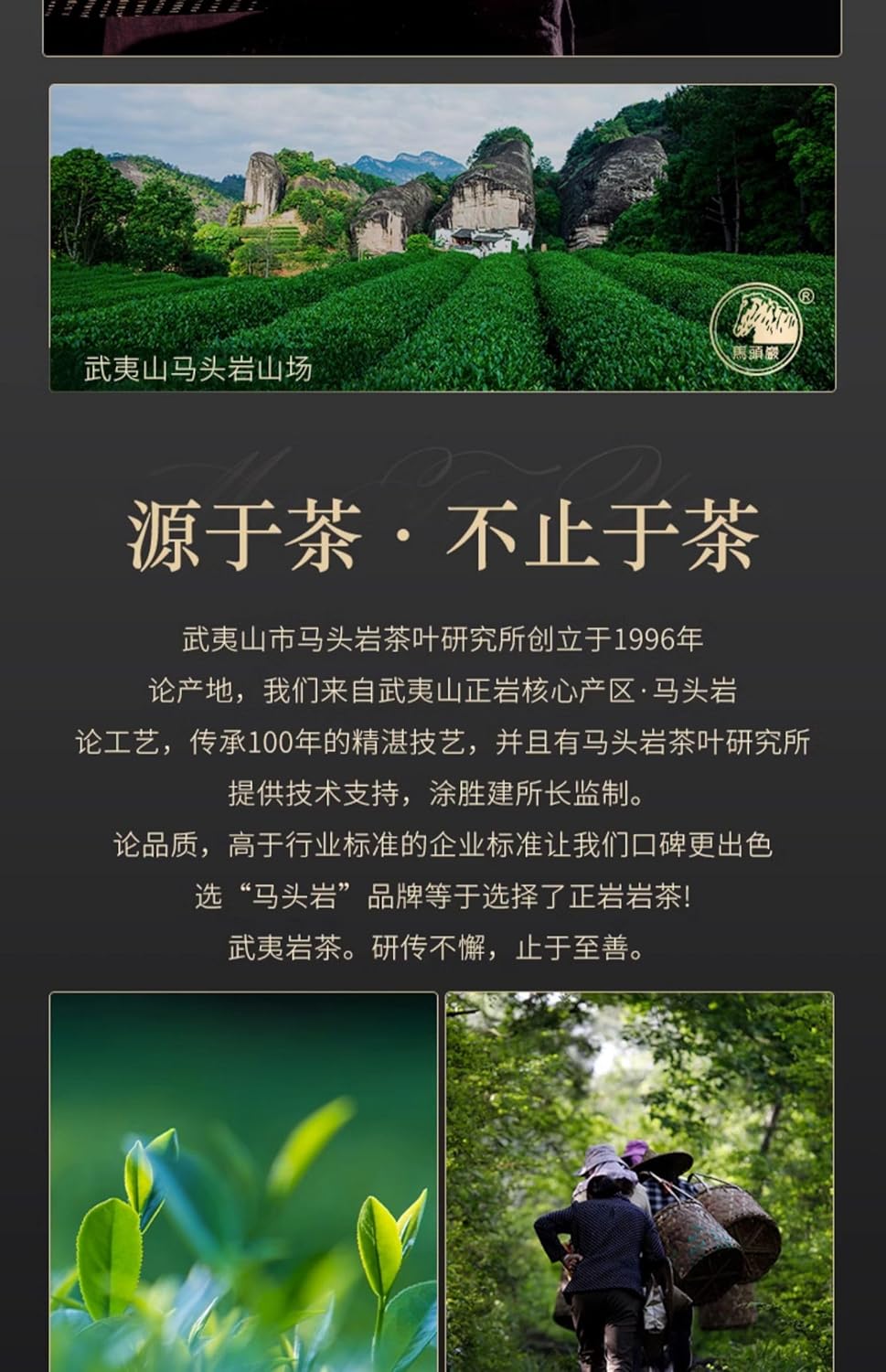 武夷岩茶,奇丹纯种大红袍,248g,Shipped from China