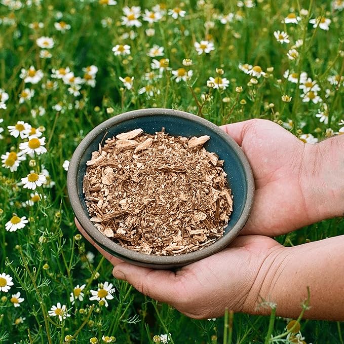 Jovvily Angelica Root - 1 lb - Cut & Sifted - Herbal Tea