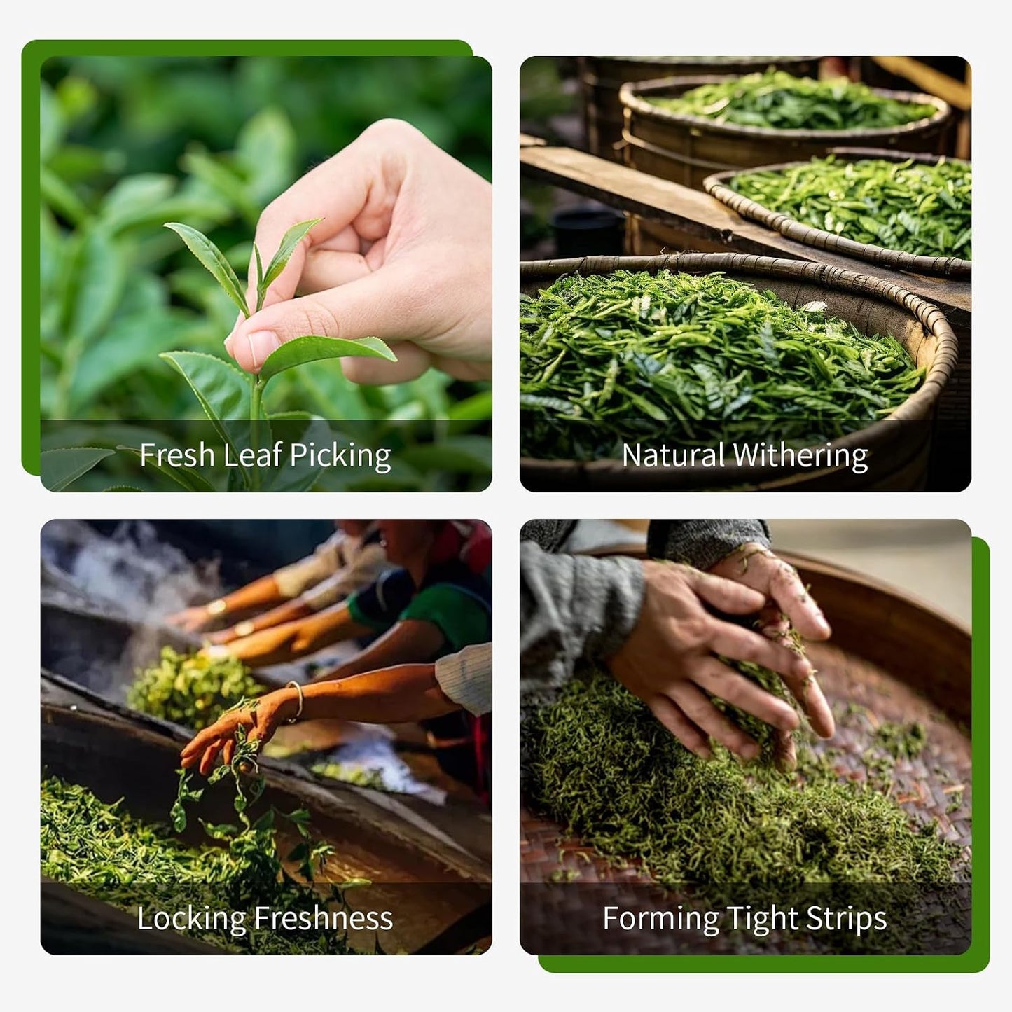 Yuexi Tie Guan Yin Oolong Tea Loose Leaf, Authentic Fujian Chinese High Mountain Iron Goddess of Mercy Tea, Fresh Hand-Picked Anxi Tieguanyin, Natural Floral Aroma Smooth Taste 安溪铁观音 乌龙茶 5.29oz/150g