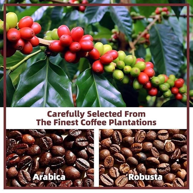 Mushroom Coffee Alternative Cappuccino Mix, Instant Superfood Coffee Drink with Reishi Mushroom Extract for Stress Relief, Immune Support