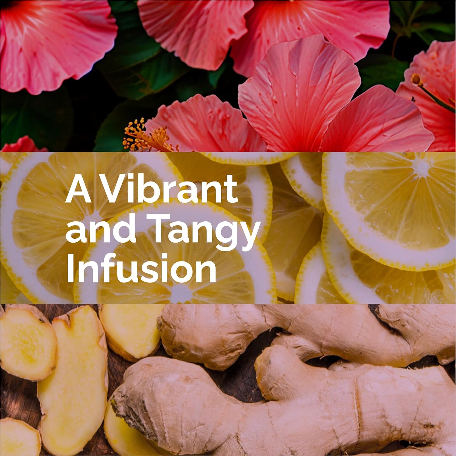 108 LIFE Natural Hibiscus Lemon Ginger Herbal Tea | 100% Natural | Caffeine Free | Supports Digestion & Immunity | With Plant-Based Biodegradable Bags | 30 Pyramid Tea Bags