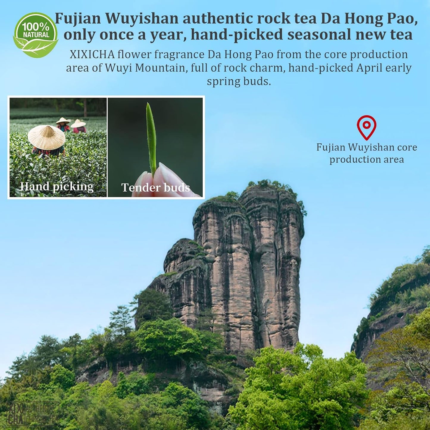 XIXICHA Dahongpao Oolong Tea Grade AAA (Super Grade) Floral Dahongpao 4.23oz (120g) China Wuyi Mountain Flower Fragrance Big Red Robe Oolong Tea Natural Loose Leaf Tea Strong fragrance Chinese Tea （96 cups）特级花香大红袍 乌龙茶 中国茶