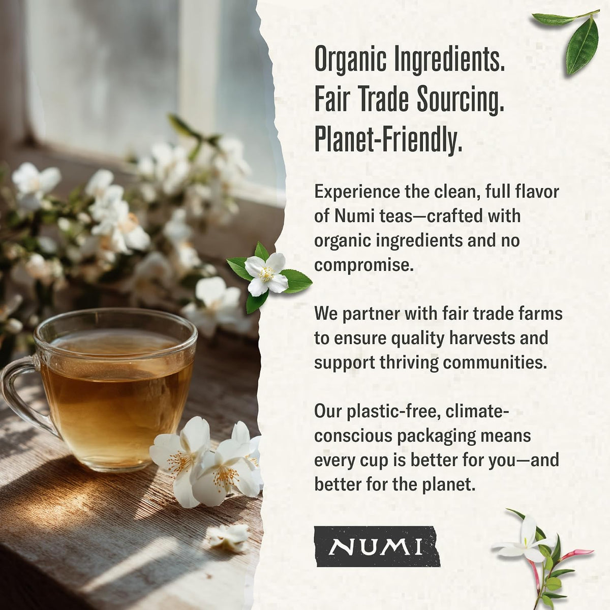 Numi Organic Jasmine Green Tea, 18 Green Tea Bags with Real Jasmine Flowers
