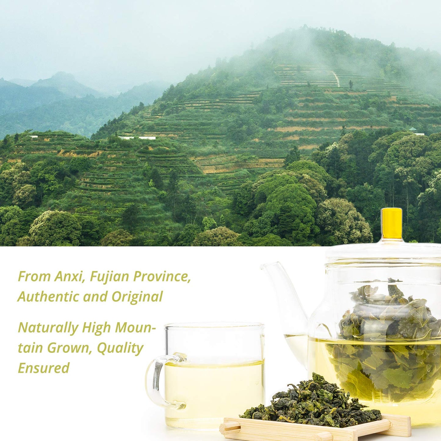 Oriarm Anxi Tieguanyin Oolong Tea 1000g (Pack of 2) - Chinese Ti Kuan Yin Loose Leaf Tea Clean Aroma