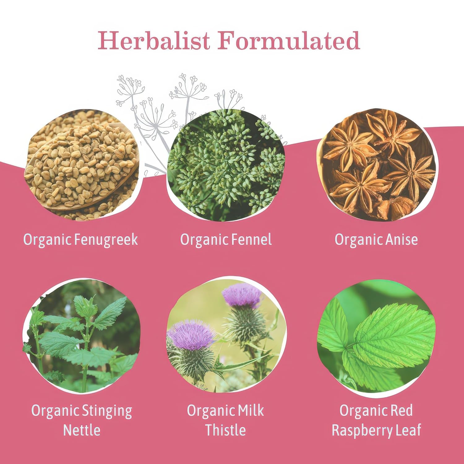 Earth Mama Organic Milkmaid Tea - 32 Teabags - Lactation Support Herbal Tea - Breastfeeding Essentials - Caffeine Free & Non-GMO Project Verified
