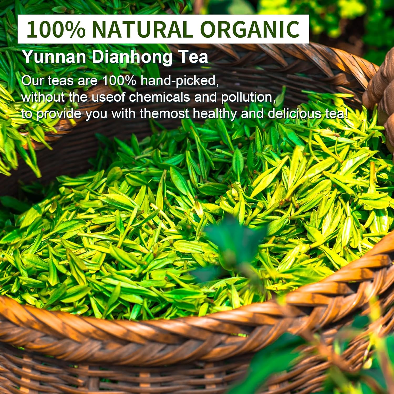XIHETANK Black Tea Bags - 100 Count Individually Wrapped for Fresh & Smooth Taste. Ancient Tree Chinese Black Tea for Hot or Iced Brewing. Bulk Sweetness & 100% Natural Breakfast Tea Bags.