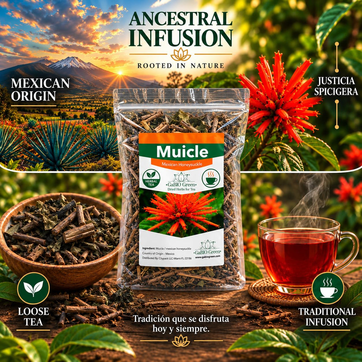 Muicle Herbal Tea – Mexican Honeysuckle Loose Leaf – 100% Single Ingredient, Caffeine Free – Gabio Green – 4.1 oz