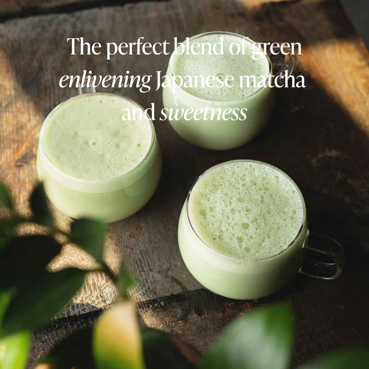 Rishi Tea Sweet Matcha Organic Japanese Sweetened Green Tea Powder, 4oz
