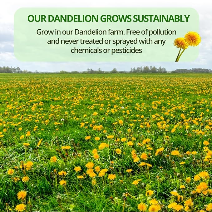 Vida Farm 125 Dandelion Tea Bags - 100% Natural Dandelion Leaf & Root, Sugar Free, Caffeine Free, Non-GMO - Premium Dandelion Root Herbal Tea