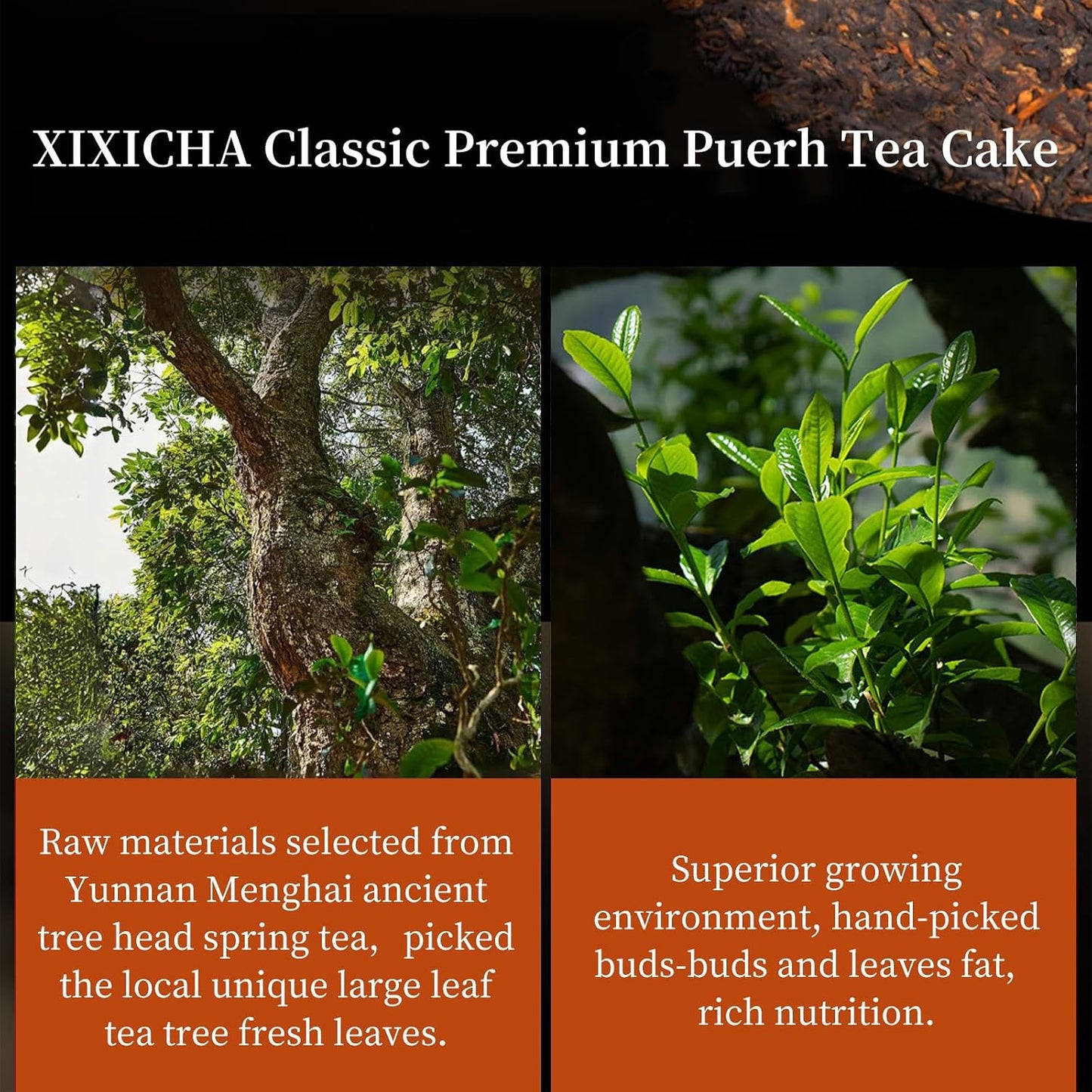 XIXICHA Classic Premium Puerh Tea Cake Ripe Puer Tea Classic Ancient Trees Pu erhTea Cake Aged Fermented Pu-erhTea Chinese Yunnan Puerh （215 cups）普洱茶 典藏普洱茶 普洱熟茶 12.6oz/357g