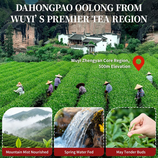 XIXICHA Dahongpao Oolong Tea 4.23oz (120g) China Wuyi Mountain Big Red Robe Oolong Tea Natural Loose Leaf Tea Strong fragrance Flower Fragrance Chinese Tea（96 cups） 特级大红袍 乌龙茶 中国功夫岩茶